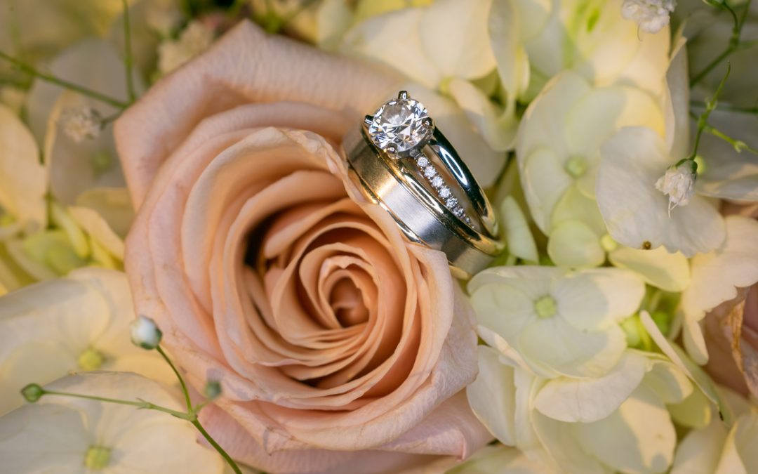 AnnMarie & Will – Dallas, PA