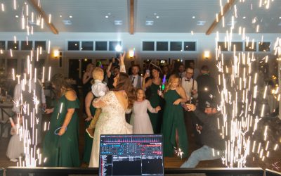 What A Professional Wedding DJ Can Bring To Your Wedding